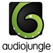 Audiojungle music licenses