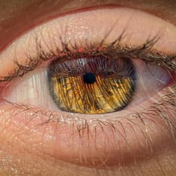 similar sound effect thumbnail