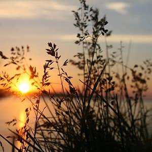 Jazz suave al atardecer - thumbnail