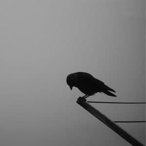 Clair de Lune (version originale) - thumbnail