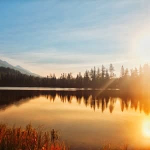 Serene Reflection - thumbnail