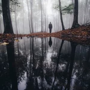 bosque nuboso - thumbnail