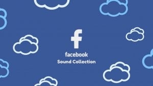 biblioteca musica facebook